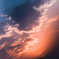 gato blanco y negro como conductor de una micro de RED usando uniforme